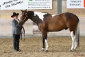 22-APHA HOTC_097